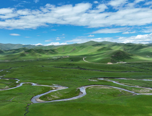 ��ظ�ԭ�׬F�����ŷ� �I���Ї�̼�к�